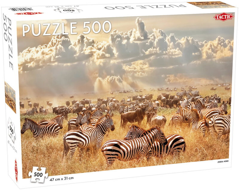 Djur: Zebra Herd