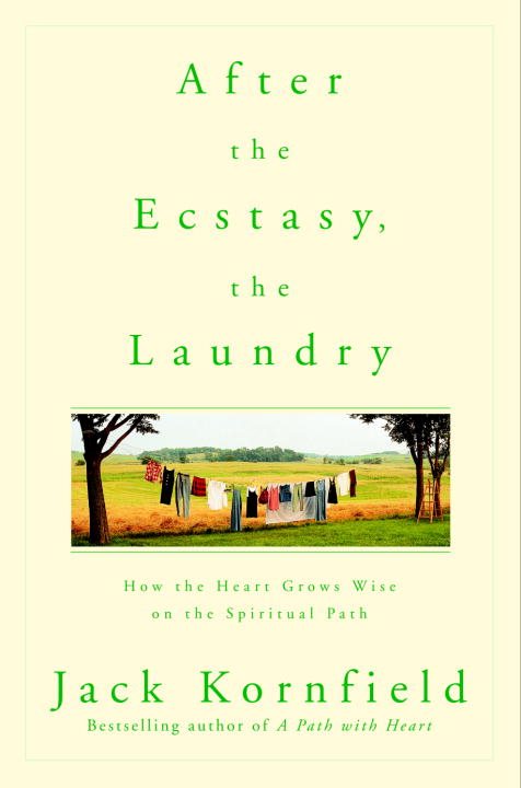 After the Ecstasy, the Laundry