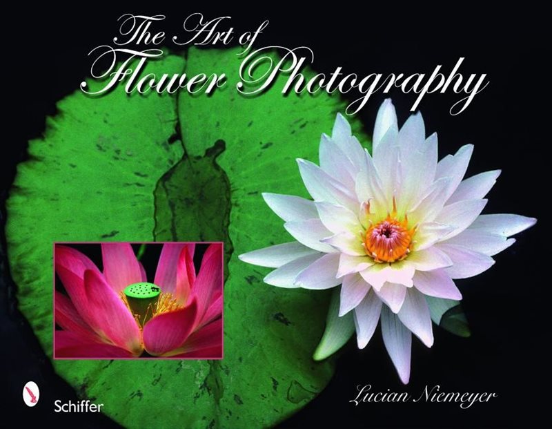 Art of flower photography