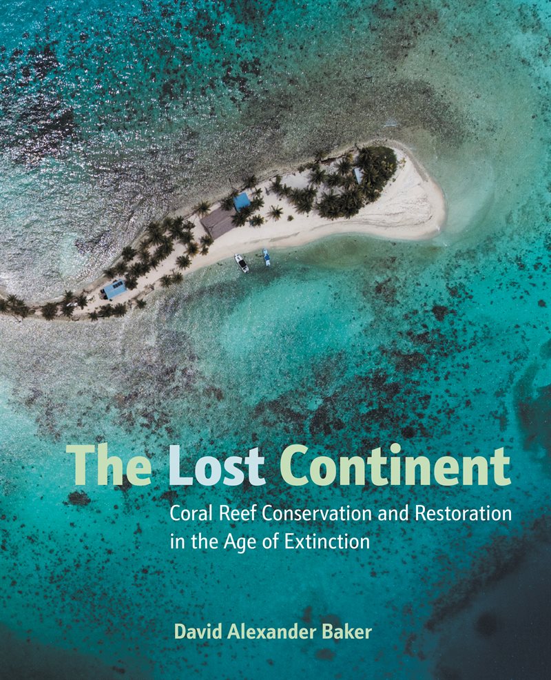 The Lost Continent