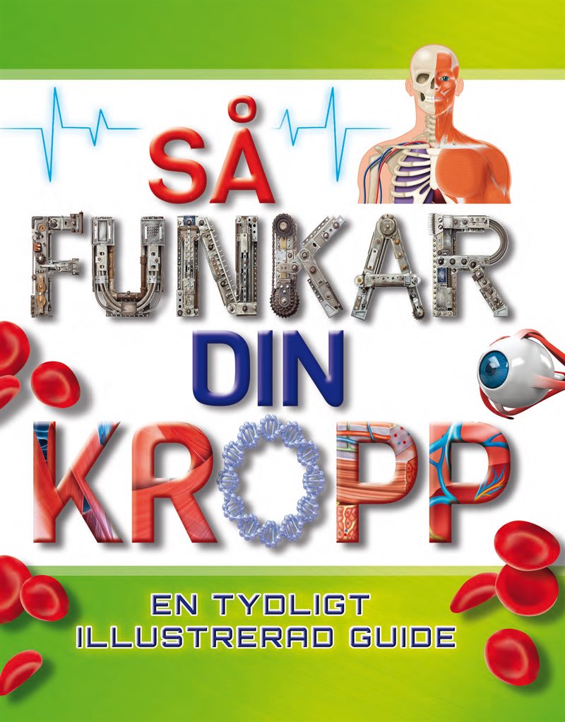 Så funkar din kropp