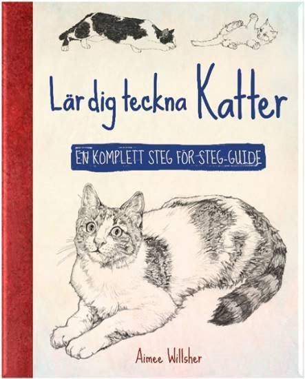 Lär dig teckna katter