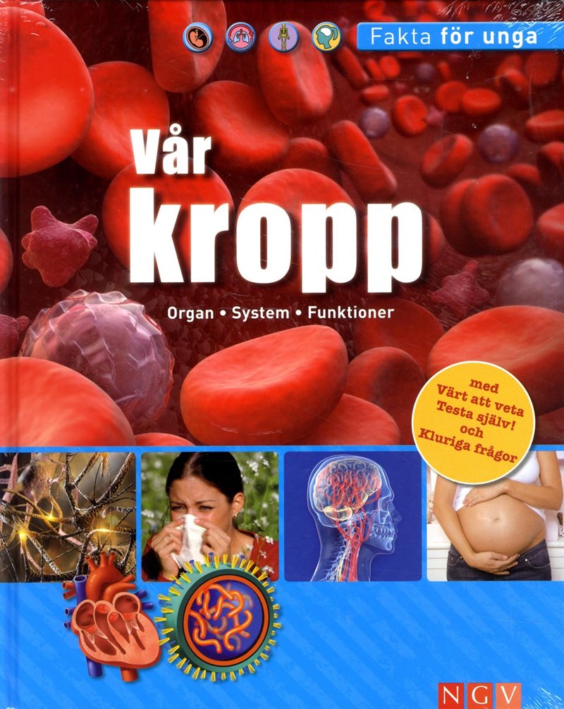 Vår kropp Organ System Funktioner