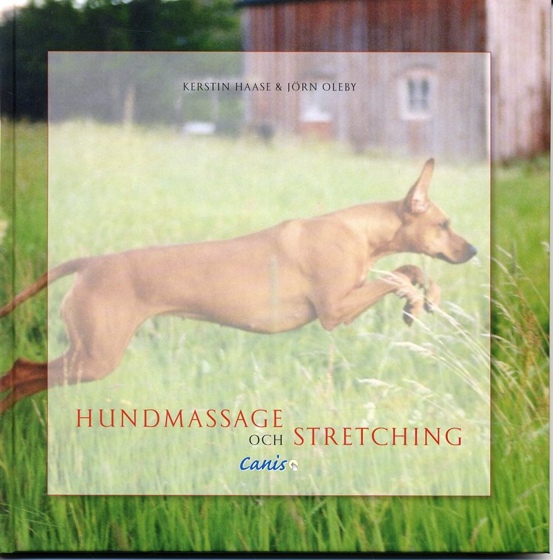 Hundmassage och stretching