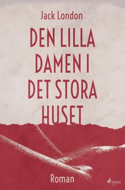 Den lilla damen i det stora huset