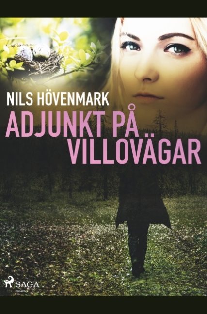 Adjunkt på villovägar