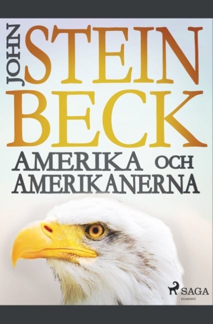 Amerika och amerikanerna :