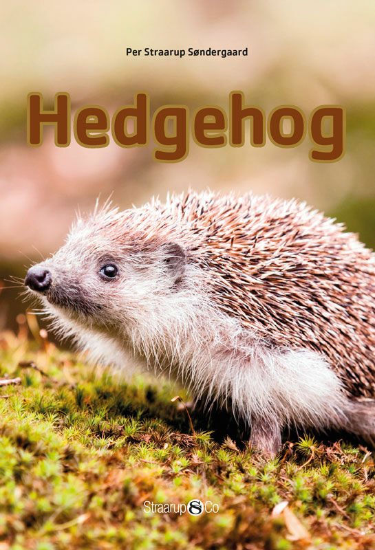 Hedgehog