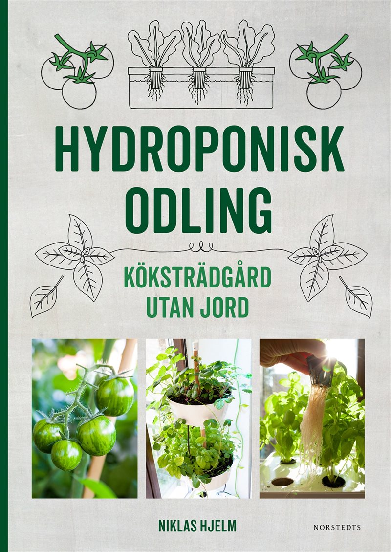 Hydroponisk odling : Köksträdgård utan jord