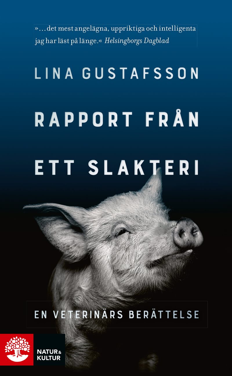 Rapport från ett slakteri : en veterinärs berättelse