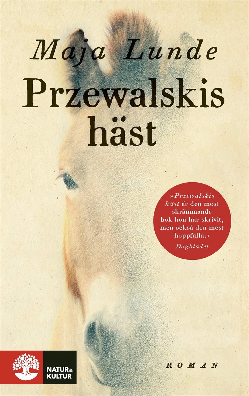 Przewalskis häst