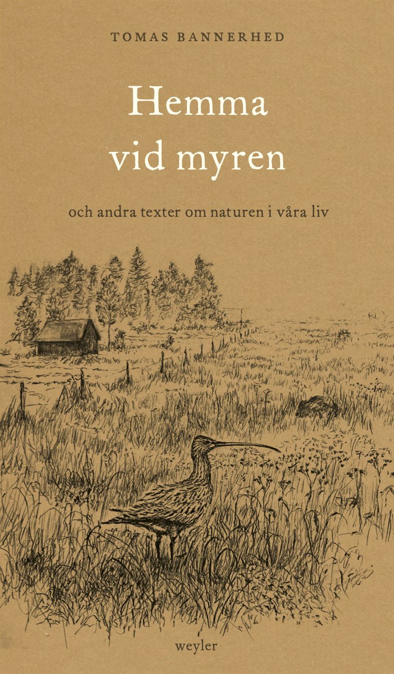 Hemma vid myren : och andra texter om naturen i våra liv