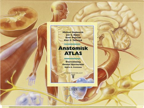 Anatomisk atlas