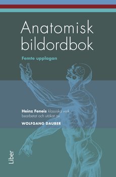 Anatomisk bildordbok