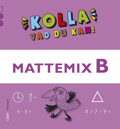 Kolla vad du kan Mattemix B