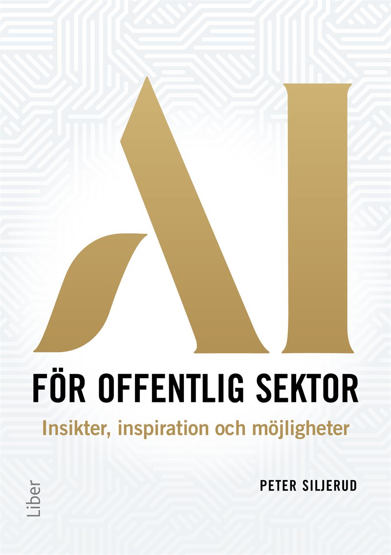 AI för offentlig sektor