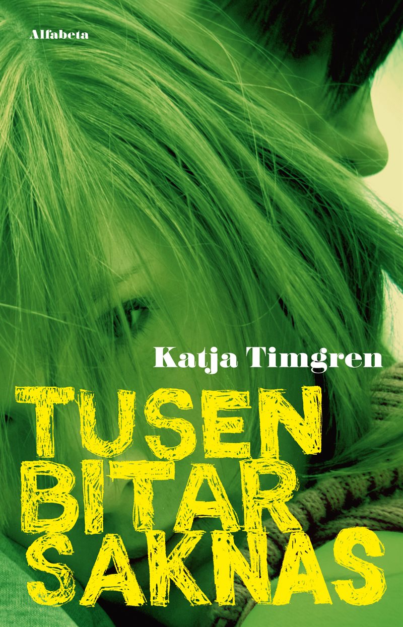 Tusen bitar saknas