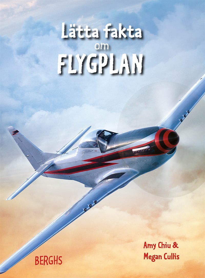 Lätta fakta om flygplan