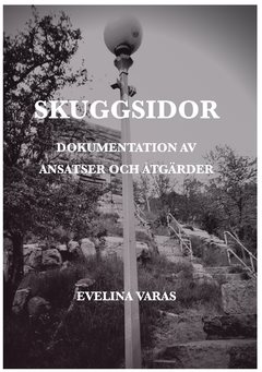 Skuggsidor : dokumentation av ansatser och åtgärder