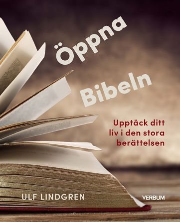 Öppna Bibeln : upptäck ditt liv i den stora berättelsen