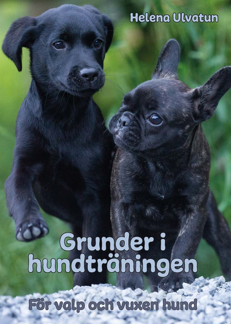 Grunder i hundträningen : för valp och vuxen hund