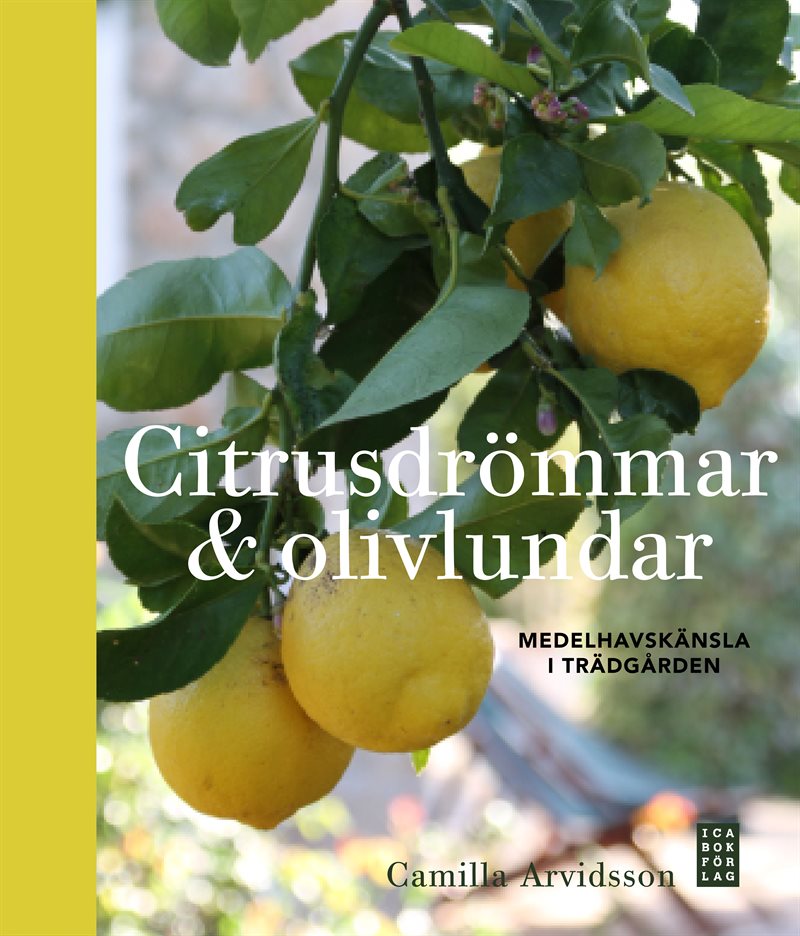 Citrusdrömmar & olivlundar : medelhavskänsla i trädgården