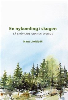 En nykomling i skogen - så erövrade granen Sverige