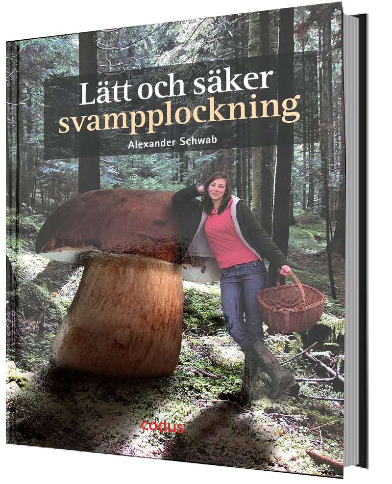 Lätt och säker svampplockning