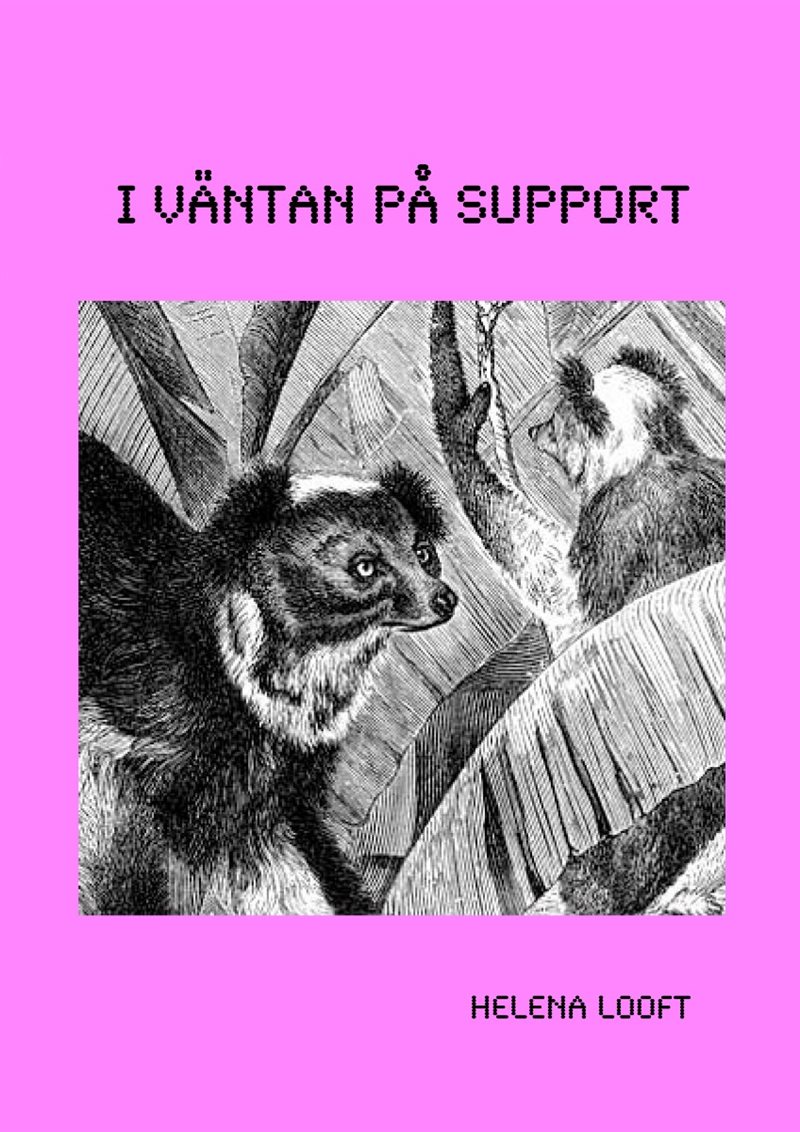 I väntan på support