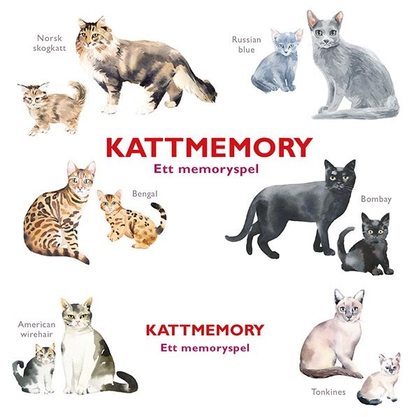 Kattmemory