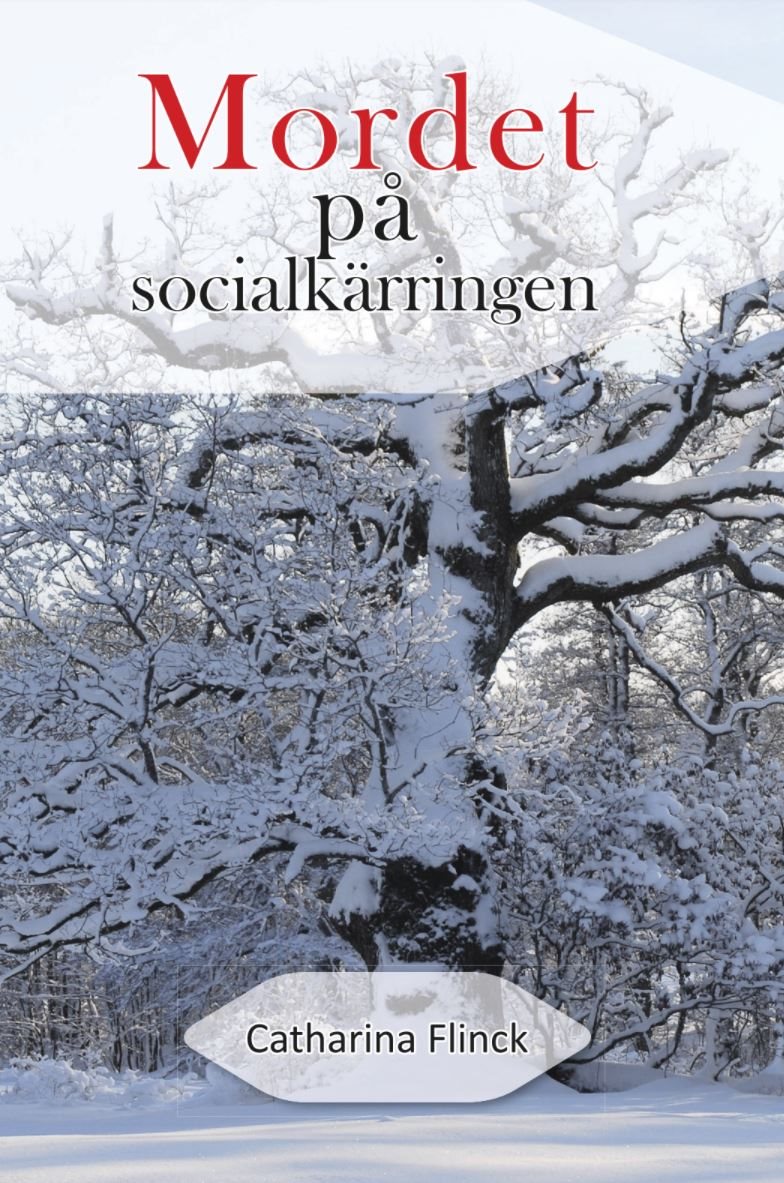 Mordet på socialkärringen