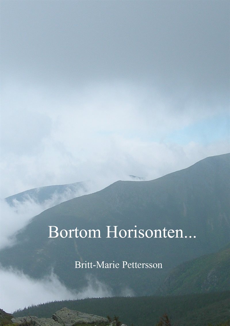 Bortom horisonten