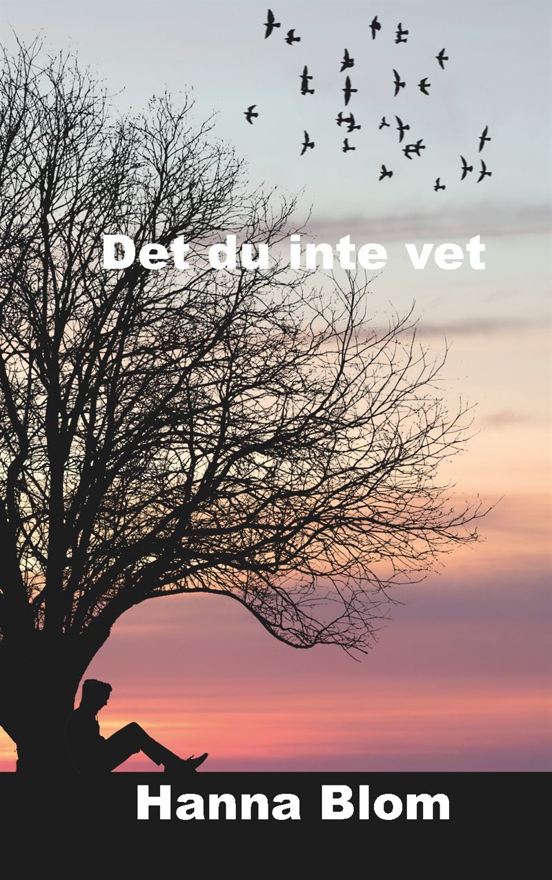 Det du inte vet