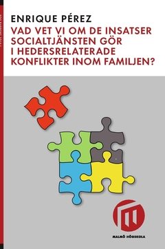 Vad vet vi om de insatser socialtjänsten gör i hedersrelaterade konflikter inom familjen?