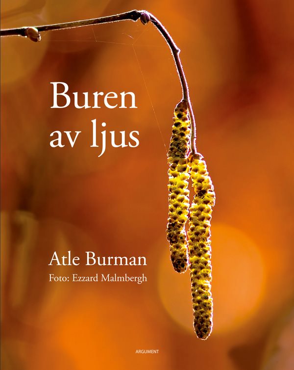 Buren av ljus