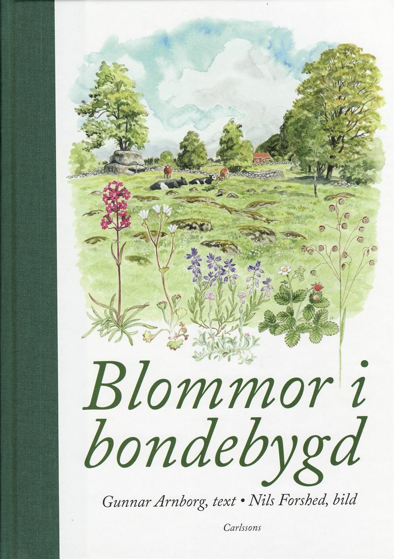 Blommor i bondebygd