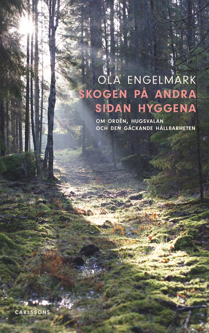 Skogen på andra sidan hyggena : om orden, hugsvalan och den gäckande hållbarheten