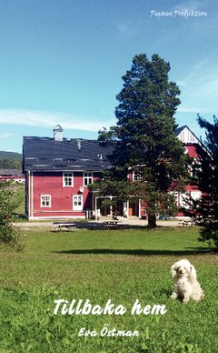 Tillbaka hem