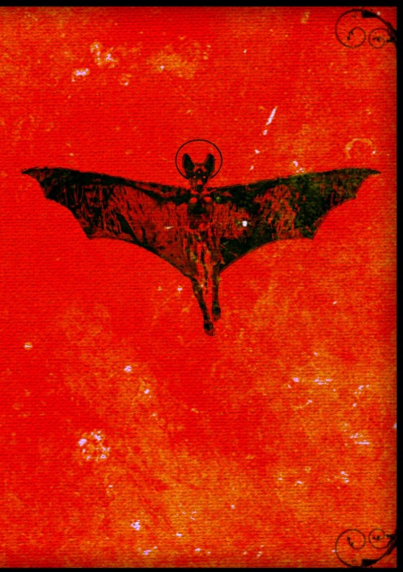 Eremonaut II