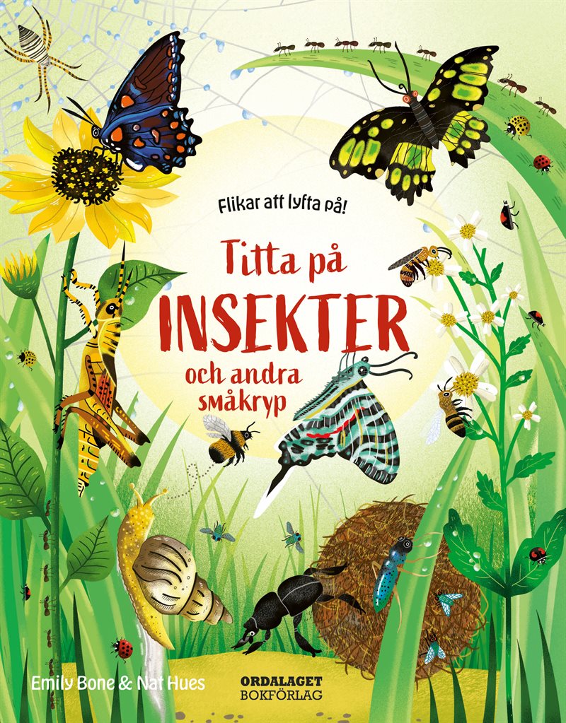 Titta på insekter och andra småkryp