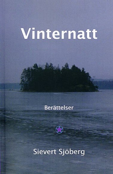 Vinternatt : berättelser
