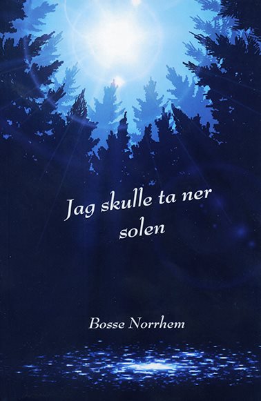 Jag skulle ta ner solen