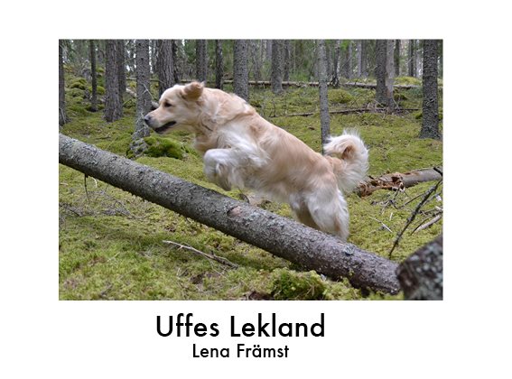 Uffes lekland