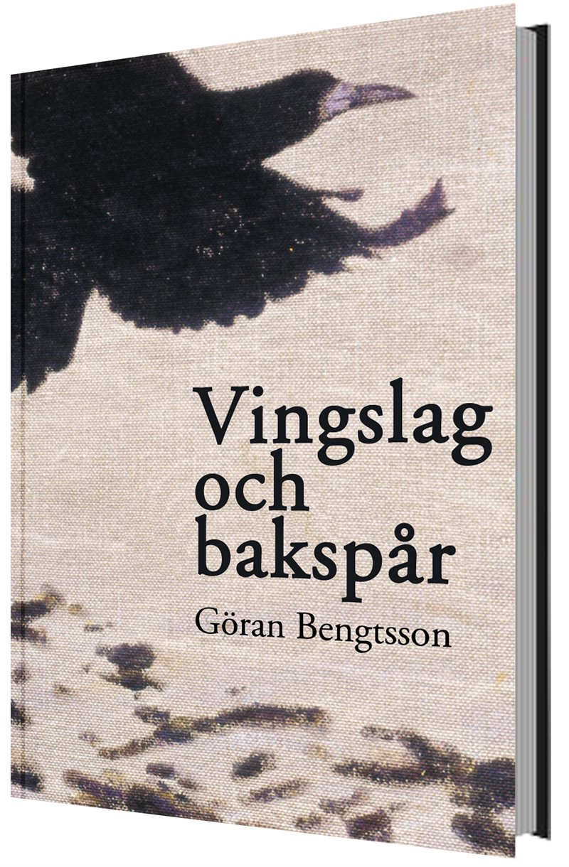 Vingslag och bakspår