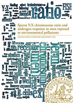 Sperm Y:X chromosome ratio and androgen response in men exposed to environmental pollutants