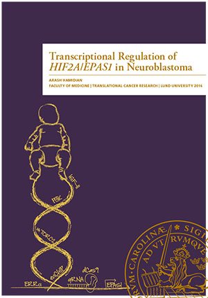 Transcriptional Regulation of HIF2A/EPAS1 in Neuroblastoma