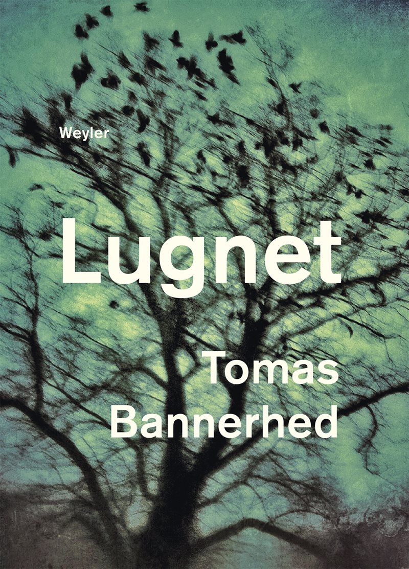 Lugnet