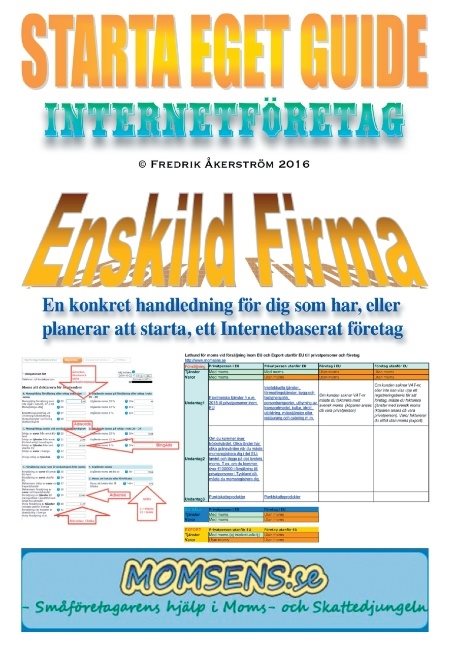 Starta Eget Guide : Internetföretag