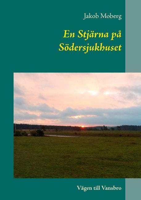 En Stjärna på Södersjukhuset : vägen till Vansbro