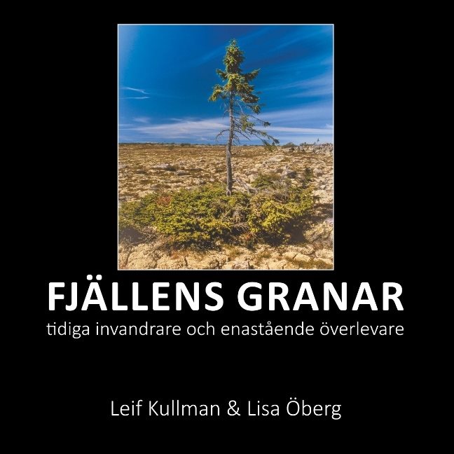 Fjällens granar : tidiga invandrare och enastående överlevare